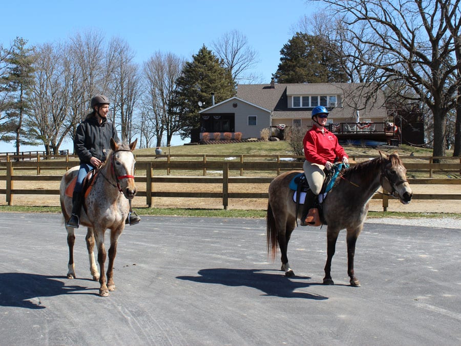 Equine Therapy at Indiana Inpatient Rehab