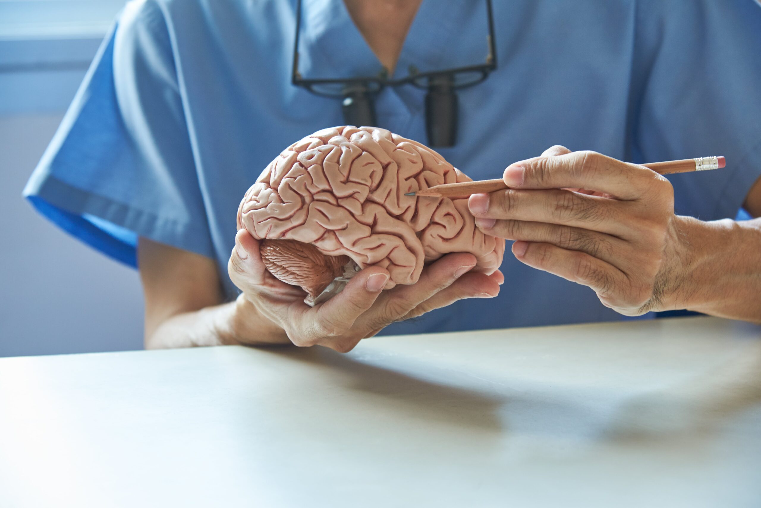 doctor pointing out damage on a brain